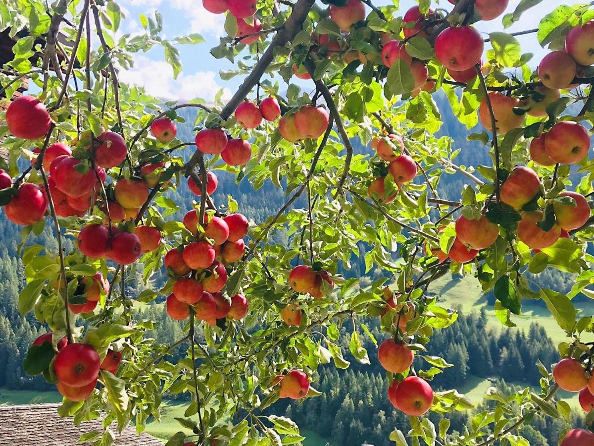 Denkmalgeschützter Spycher total renoviert Goms Exterior foto